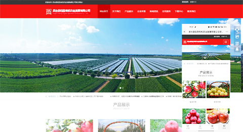 企業(yè)網(wǎng)站、程序軟件App解決方案